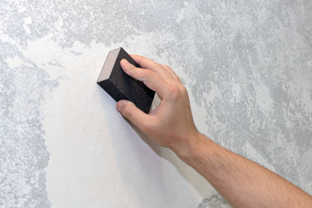 Best Mold Prevention Services  in Rapid City, MI