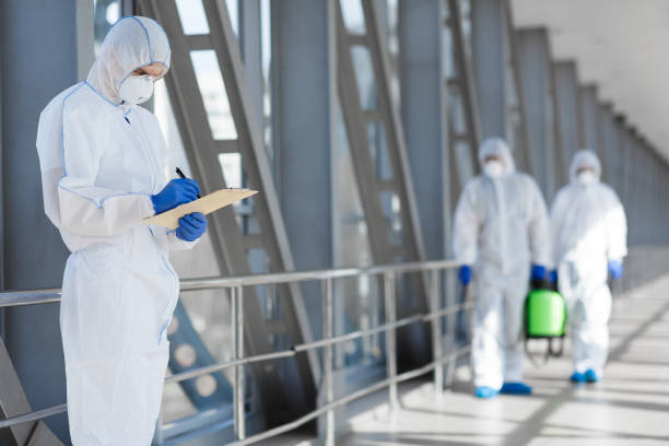Best Asbestos and Lead Testing During Mold Inspection  in Rapid City, MI