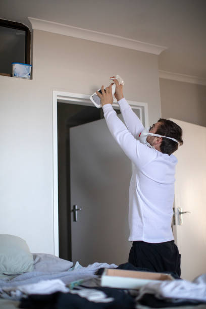 Mold Remediation for Vacation Homes in Rapid City, MI
