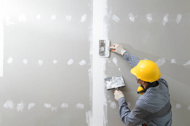 Best Crawl Space Mold Remediation  in Rapid City, MI