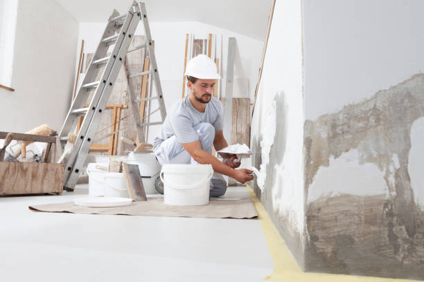 Best Black Mold Removal  in Rapid City, MI