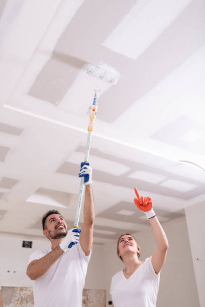 Best Environmental Consulting for Mold Prevention  in Rapid City, MI