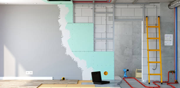 Best Comprehensive Air Testing for Mold Contaminants  in Rapid City, MI