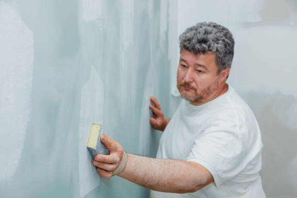 Trusted Rapid City, MI Mold Removal Experts