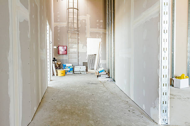 Best Airborne Mold Testing  in Rapid City, MI